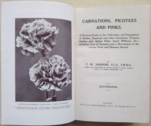 Carnations, Picotees and Pinks - A Practical Guide to the Cultivation and Propagation of Border, Perpetual and Other Carnations, Picotees, Garden and Alpine Pinks, Sweet Williams, Etc.; Including Description of the Various Pests and Diseases Thereof
