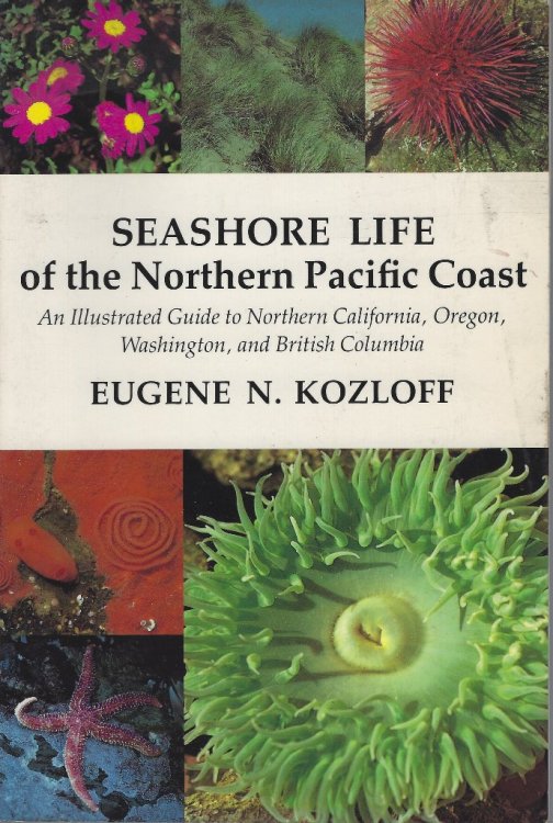 Seashore Life of the Northern Pacific Coast - an illustrated guide to Northern California, Oregon, Washington and British Columbia