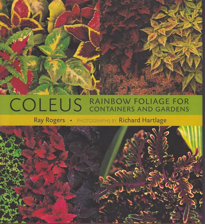 Coleus - Rainbow Foliage for Containers and Gardens