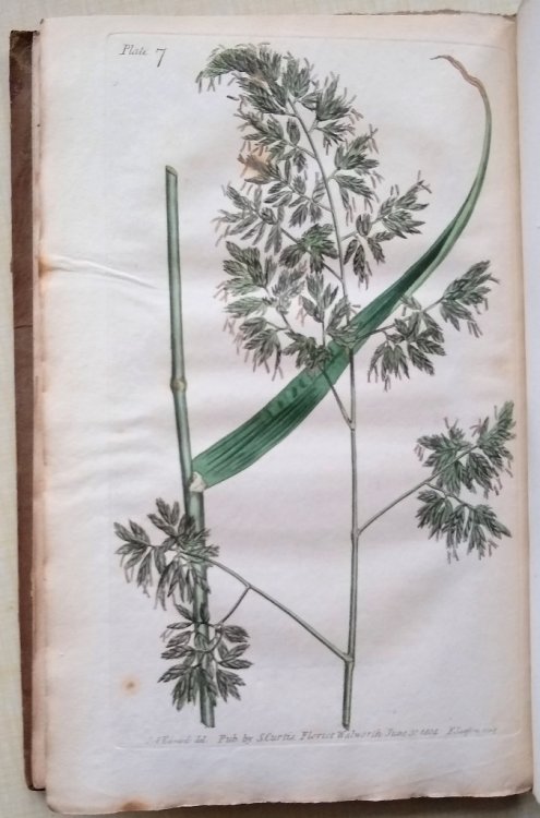 Practical Observations on the British Grasses, Especially Such as Are Best Adapted to the Laying Down or Improving of Meadows and Pastures: Likewise of the British Grasses. To which is subjoined a short account of the causes of diseases in corn