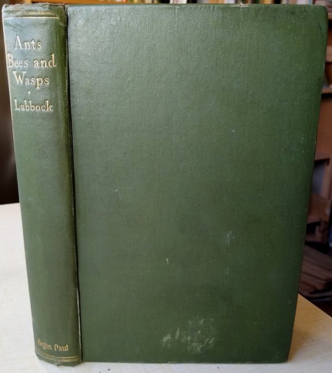 Ants Bees and Wasps - a record of observations on the habits of the social Hymenoptera