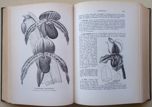 Image for The Orchid-Grower's Manual. Seventh edition (facsimile) The Orchid-Grower's Manual. Seventh edition (facsimile)