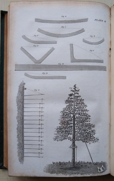 The Forester's Guide and Profitable Planter: containing a practical treatise on planting; with new and important directions to make them serviceable for ornament, shelter and profit. Also, a method of valuing all kinds of growing wood