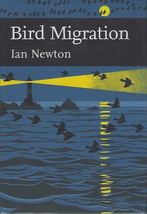 Bird Migration