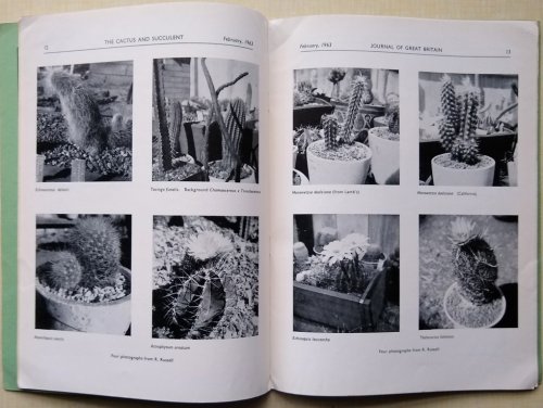 The Cactus and Succulent Journal of Great Britain. Volumes 25 - 31 (lacking two parts) + Volume 36