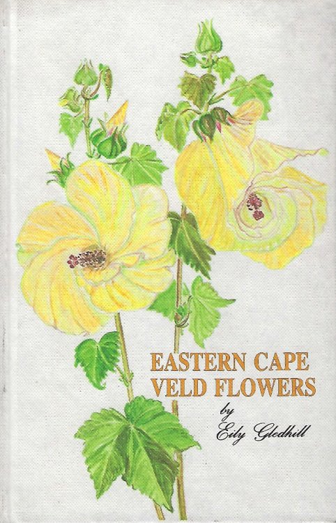 Eastern Cape Veld Flowers