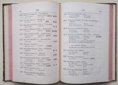 Nippon shokubutsumeii : or nomenclature of Japanese plants in Latin, Japanese and Chinese