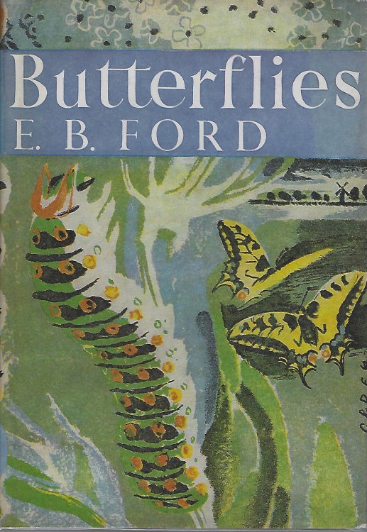 Butterflies
