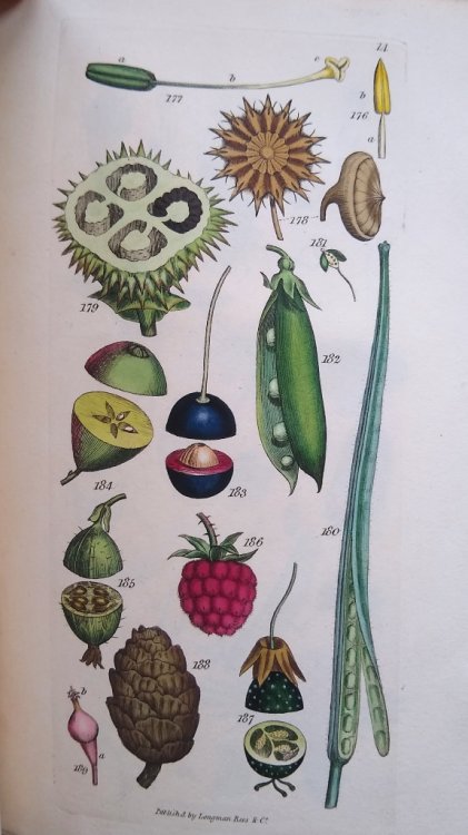An Introduction to Physiological and Systematical Botany