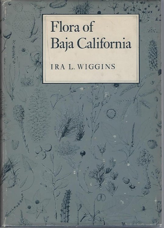 Flora of Baja California