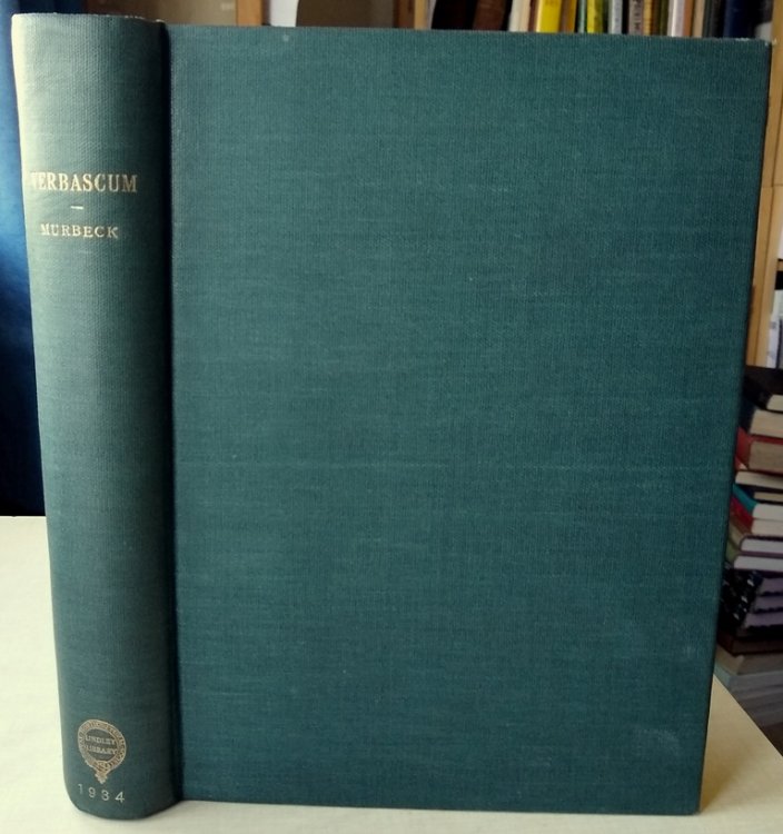 Monographie der Gattung Verbascum (with extra illustrations)