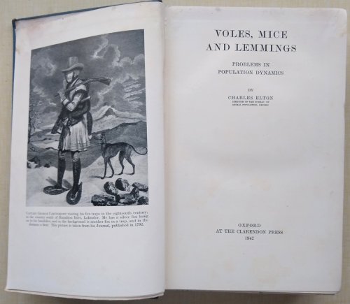 Voles, Mice and Lemmings - problems in population dynamics