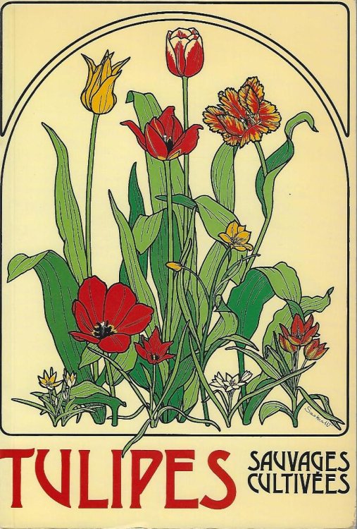 Tulipes Sauvages et Cultivees [Vicki Matthews' copy]