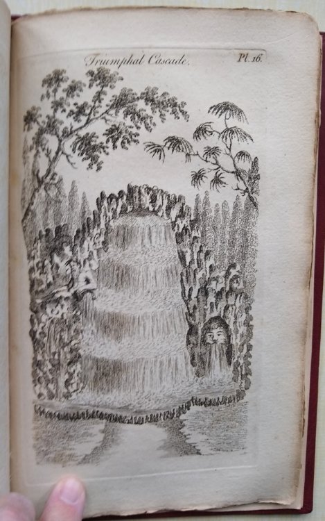 A Flora of New Mexico