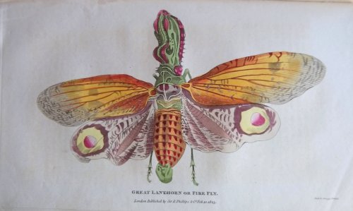 Nature Displayed in the Heavens and on the Earth, according to the latest observations and discoveries