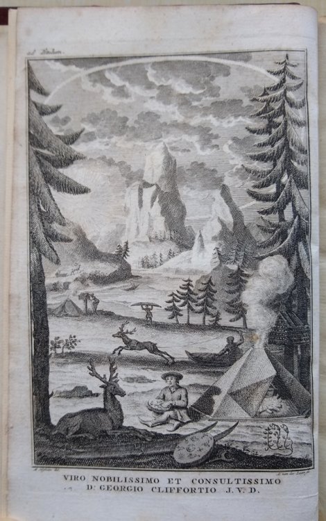 Flora Lapponica exhibens plantas per Lapponiam crescentes, secundum systema sexuale collectas in itinere impensis Soc. reg. litter. et scient. Sueciae a. 1732 instituto. Additis synonymis, & locis natalibus omnium, descriptionibus & figuris rariorum,
