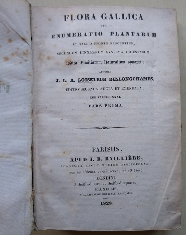 Flora Gallica Seu Enumeratio Plantarum In Gallia Sponte Nascentium, Secundum Linnaenum Systema Digestarum, Addita Familiarum Naturalium Synopsi [A.J. WILMOTT'S COPY]