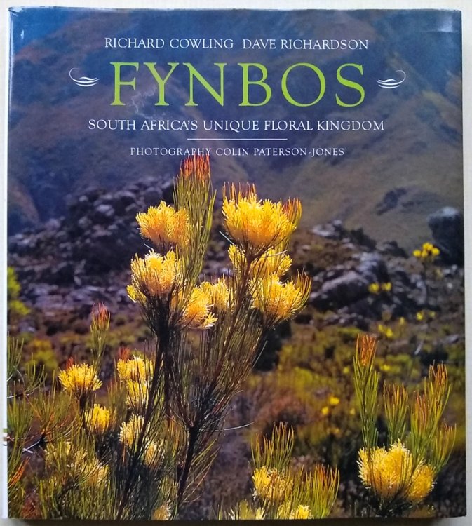 Fynbos - South Africa's Unique Floral Kingdom