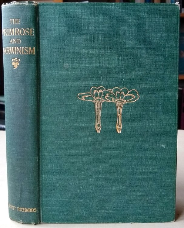 The Primrose and Darwinism