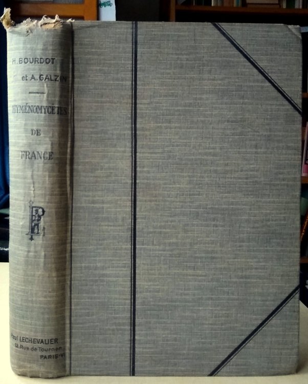 Image for Hymenomycetes de France Hymenomycetes de France