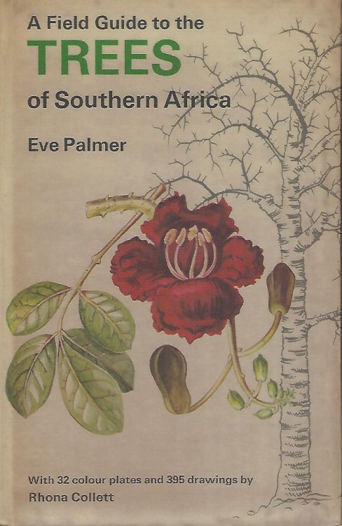 Image for A Field Guide to the Trees of Southern Africa A Field Guide to the Trees of Southern Africa