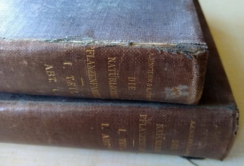 Die Naturlichen Pflanzenfamilien - Two volumes comprising fungus families,