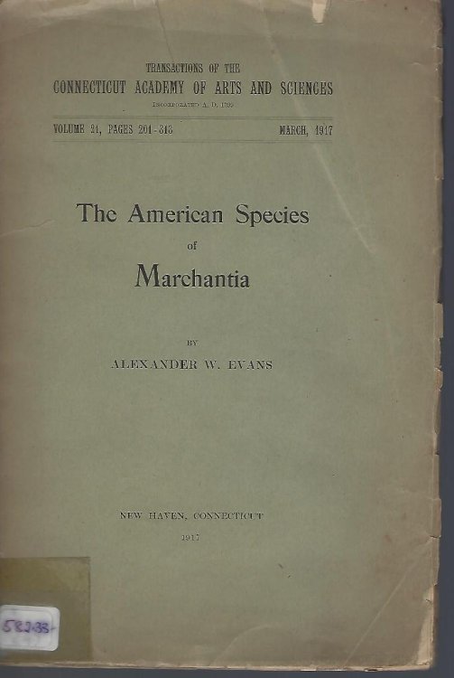 The American Species of Marchantia