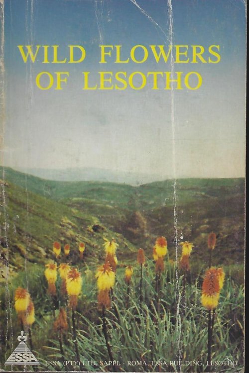 Wild Flowers of Lesotho