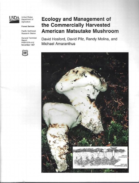 Ecology and Management of the Commercially Harvested American Matsutake Mushroom