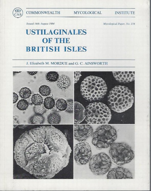 Ustilaginales of the British Isles