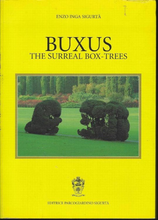 Buxus - The Surreal Box-Trees
