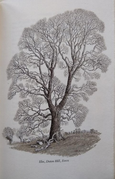 Famous Trees (Alan Mitchell's copy)