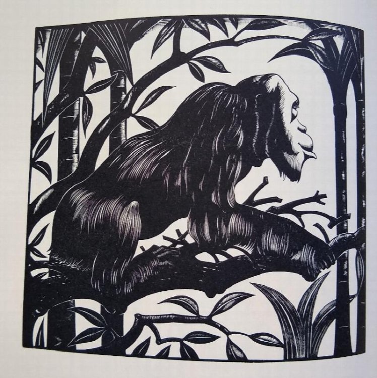 The Wood Engravings of Robert Gibbings, With Some Recollections by the Artist