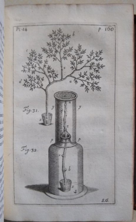 Statical Essays, Containing Vegetable Staticks, or an account of some statical experiments on the sap in vegetables : being an essay towards a natural history of vegetation