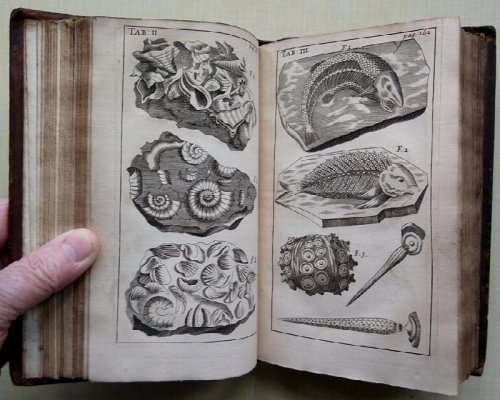 Three physico-theological discourses, concerning I. The primitive chaos, and creation of the world. II. The general deluge, its causes and effects. III. The dissolution of the world, and future conflagration