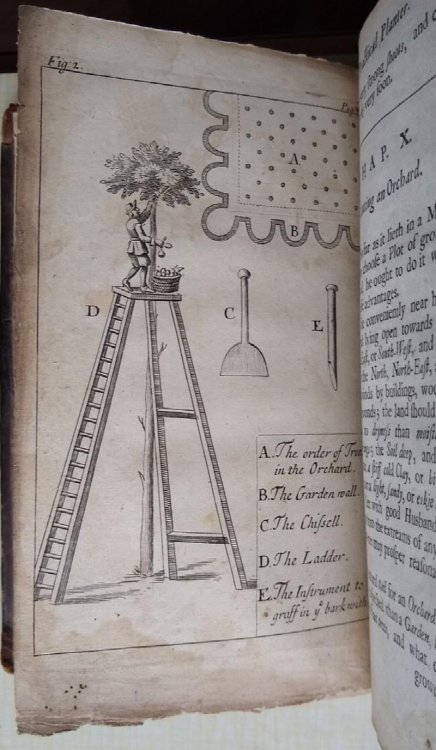 Plain and Full Instructions to Raise all Sorts of Fruit-trees in England. Second edition, revised and enlarged in many places; together with an addition of two intire chapters of Greens and Green-houses