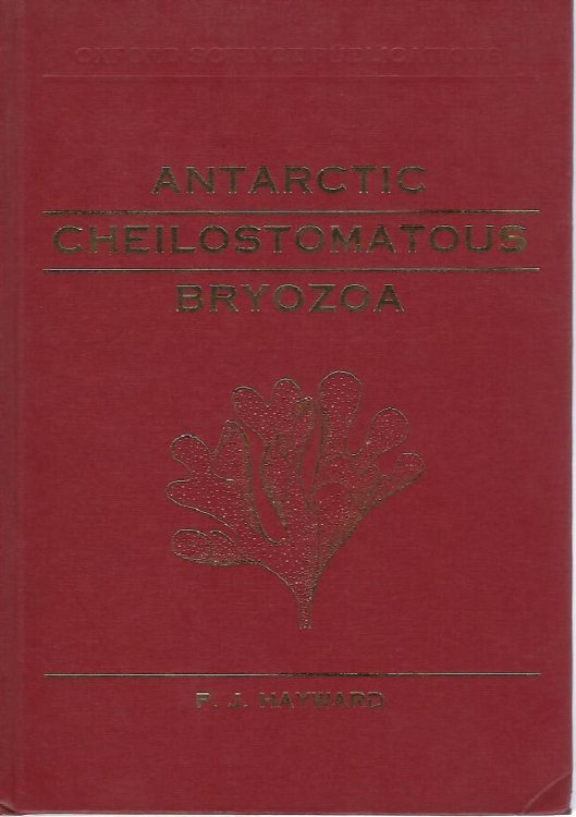 Antarctic Cheilostomatous Bryozoa