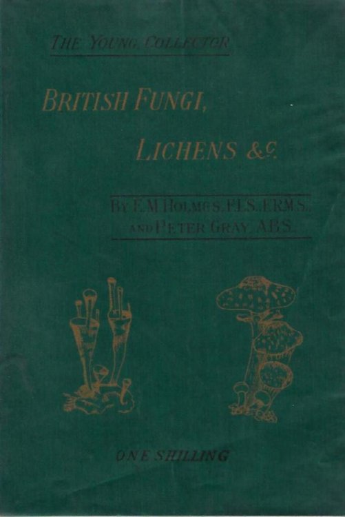 British Fungi, Lichens and Mosses, including Scale-Mosses and Liverworts [The Young Collector series]