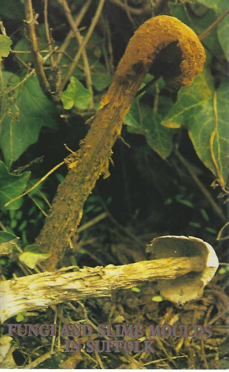 Fungi and Slime Moulds in Suffolk