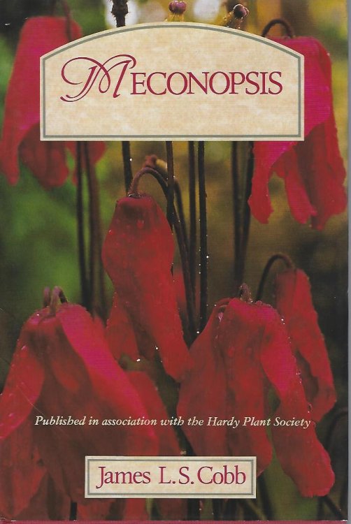 Meconopsis