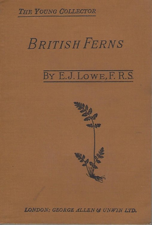 British Ferns and Where Found