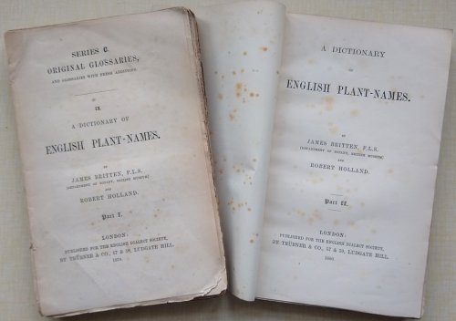 A Dictionary of English Plant Names