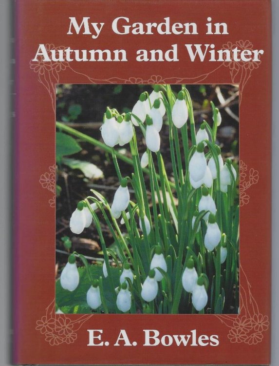 My Garden in Autumn & Winter