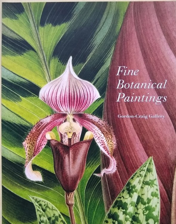 Fine Botanical Paintings - Contemporary Botanical Paintings from the Gordon-Craig Gallery