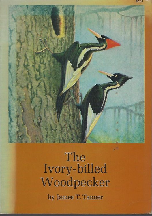 The Ivory-billed Woodpecker