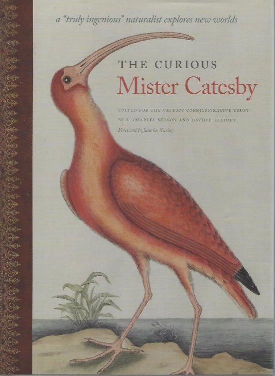 The Curious Mister Catesby - a 