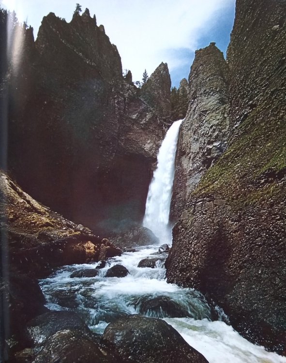 Yellowstone - A Century of the Wilderness Idea