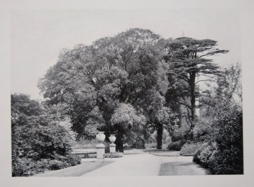 Illustrations of the Royal Botanic Gardens, Kew, from photographs taken by permission