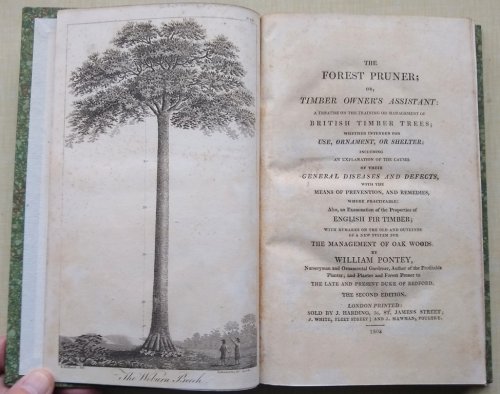 The Forest Pruner; Or, Timber Owner's Assistant: A Treatise on the Training or Management of British Timber Trees; Whether intended for Use, Ornament, or Shelter: including an Explanation of the Causes of their General Diseases and Defects