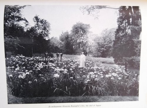 If I Were to Make a Garden